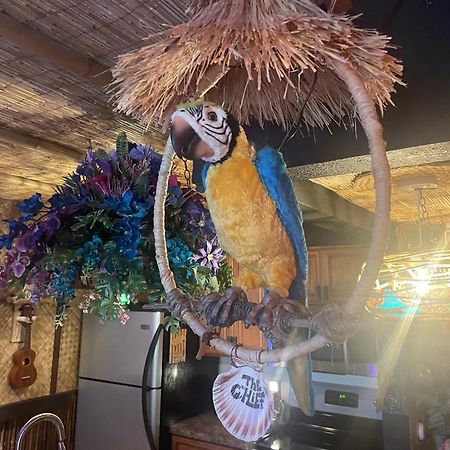 The Kondo Tiki Tampa Exterior photo